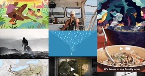 Instagram Aggregator Design Templates 1