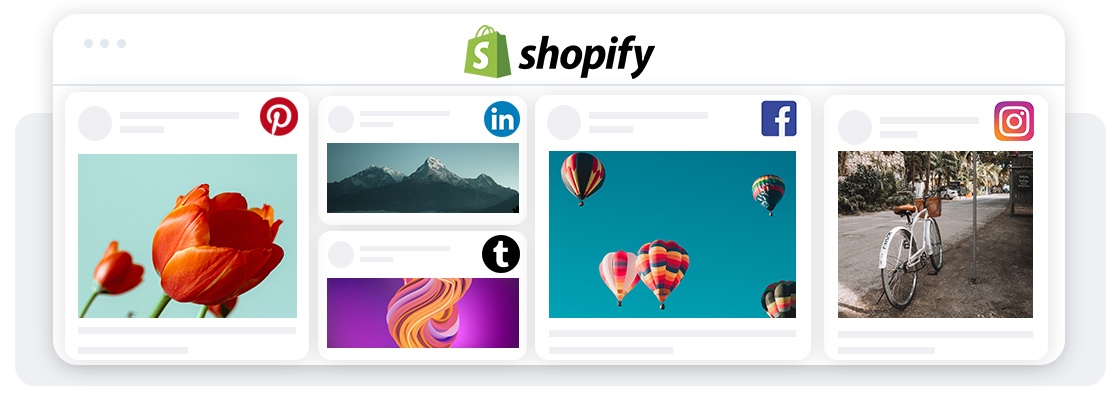 How to Add Social Media Feed to Shopify Website (2 Method)