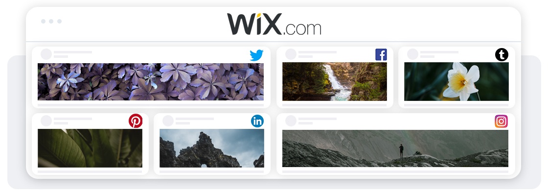 How to Add Social Media Feed to Wix Website