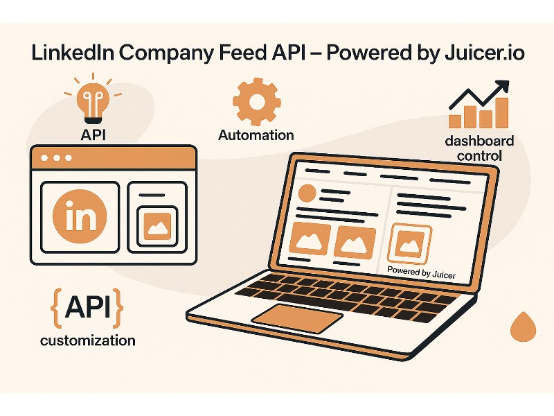 LinkedIn Company Feed API