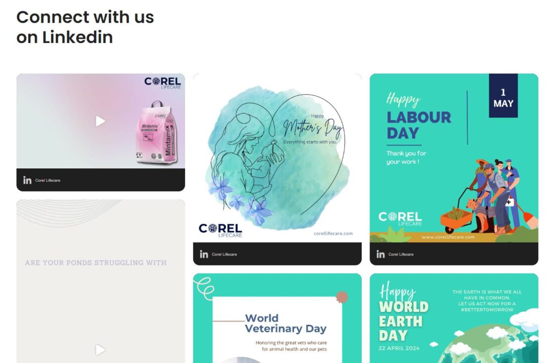 linkedin feed on website example 3