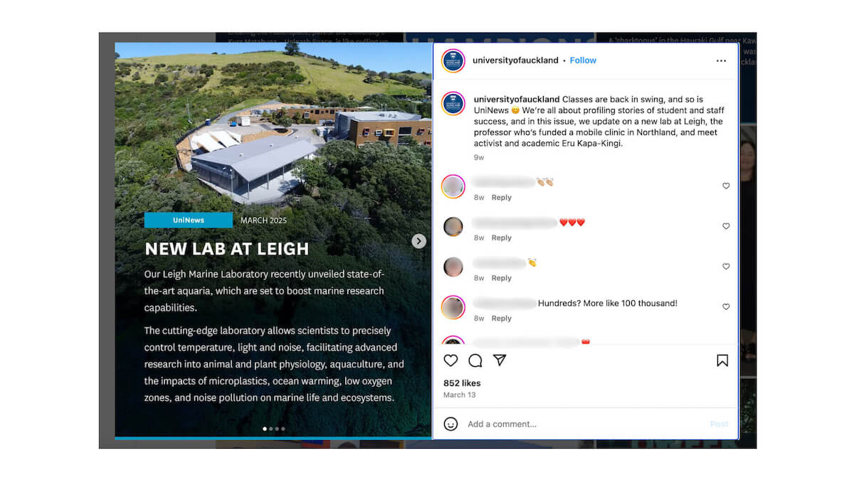 college social media post ideas
